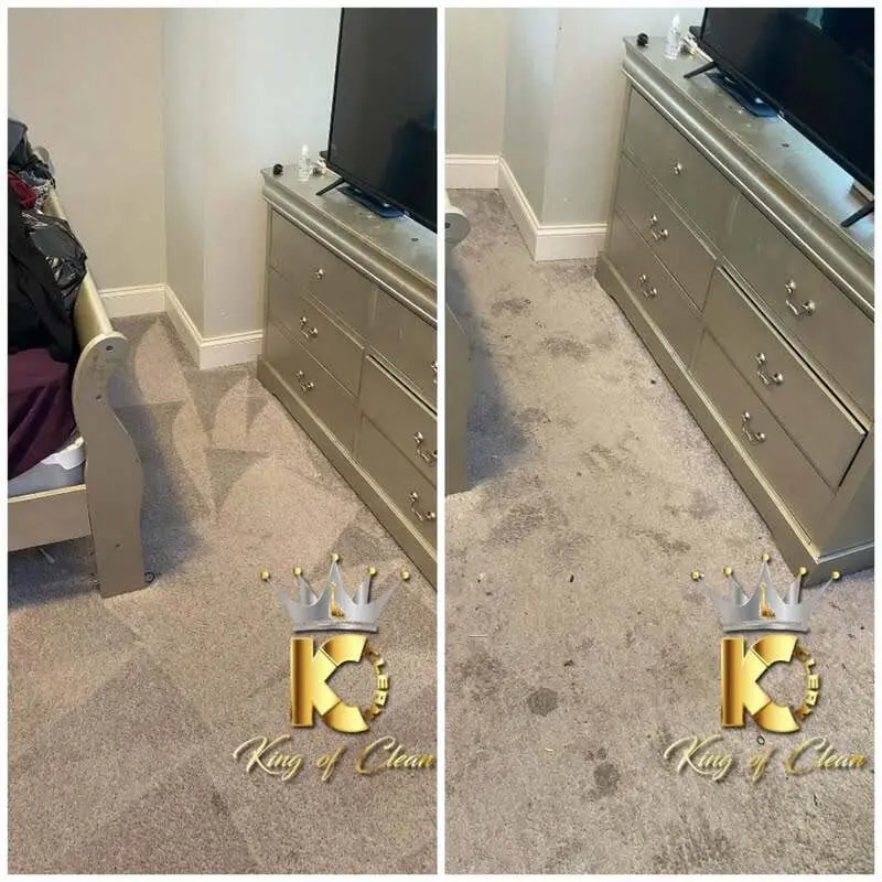 pet stain and odor removal bakersfield