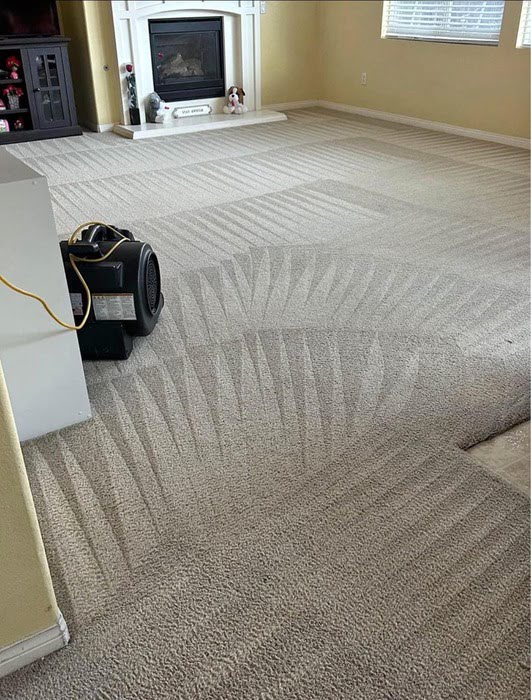 carpet cleaning bakersfield ca