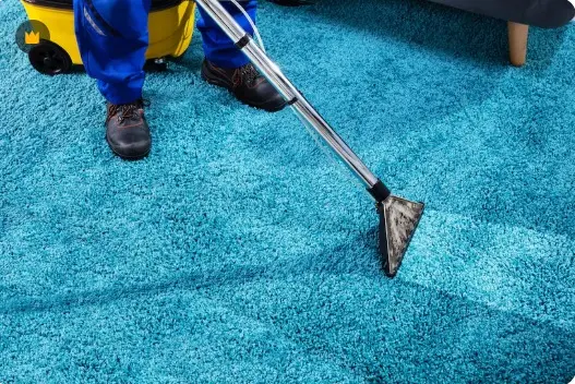 What Are the Disadvantages of Steam Carpet Cleaning?